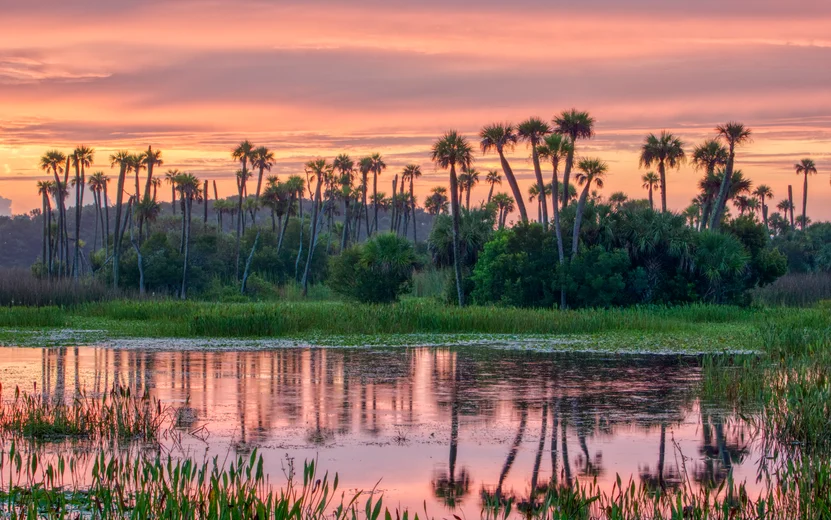 Orlando